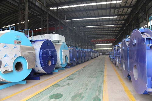 釀酒專用鍋爐,釀酒用哪種鍋爐好 釀酒鍋爐設備哪里有賣